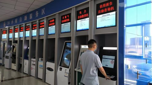 政務服務大廳創(chuàng)新便民舉措 征信報告自助查詢與物流信息咨詢服務雙入駐